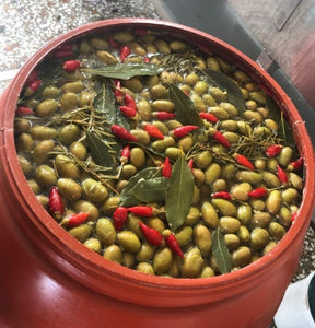 Greek Plum Olives Marinated
